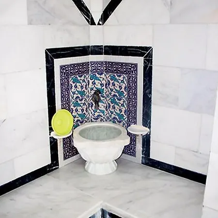 Hotel Oylat Kaplicalari Asiyan 2*
